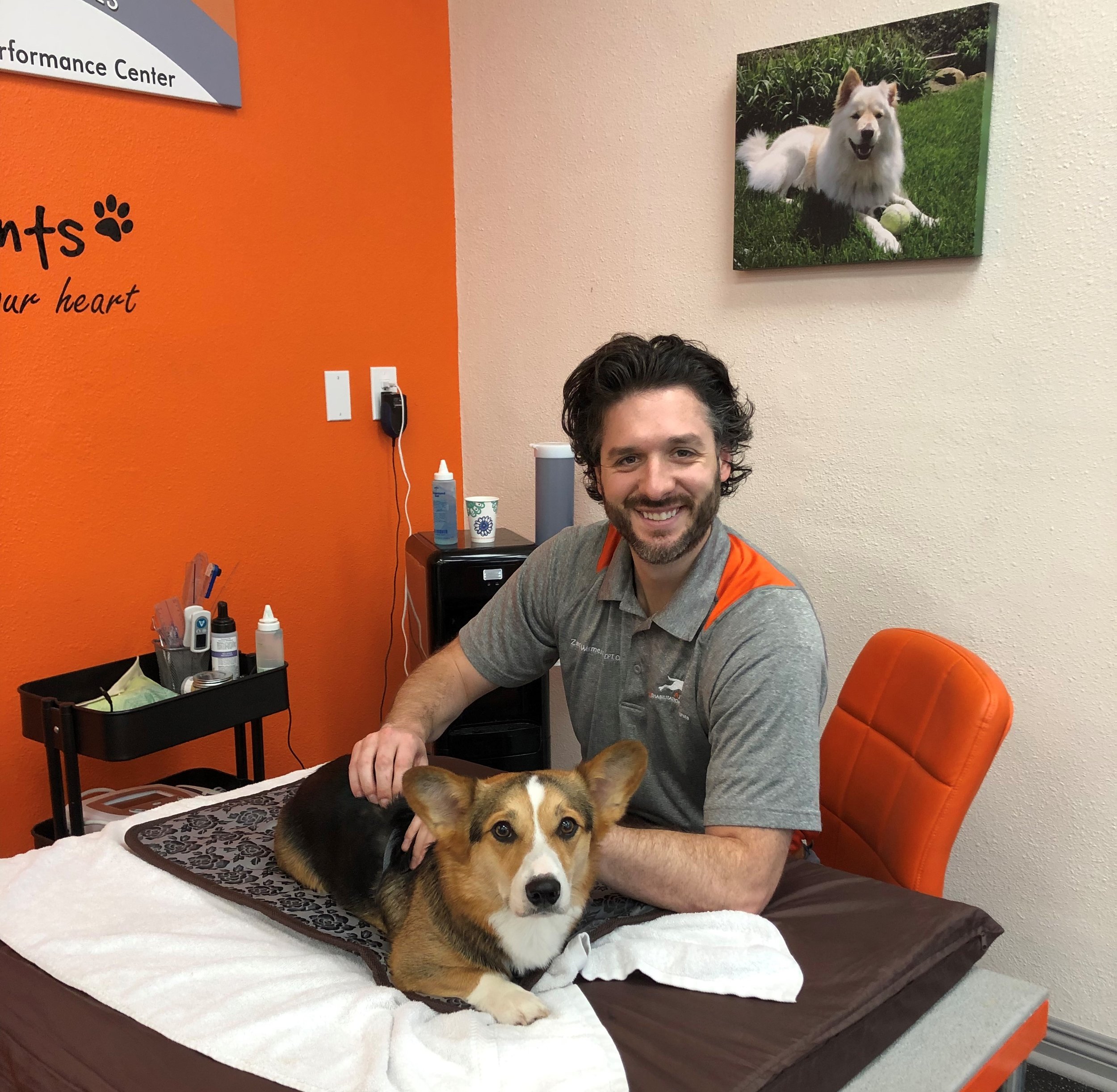 Atlas Rehabilitation for Canines — Animal Physical Rehabilitation
